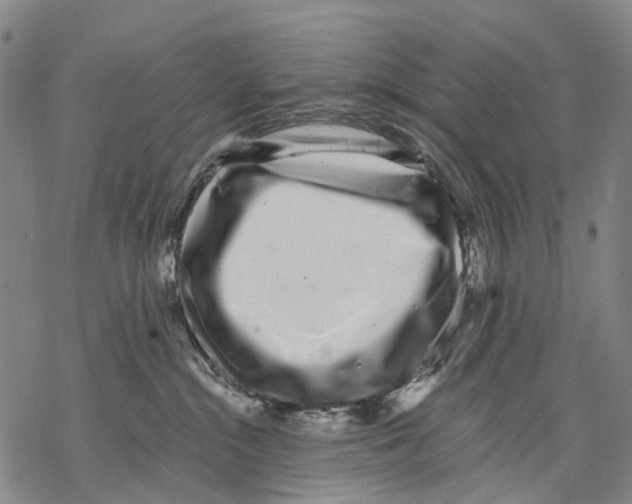 X0000068260284200605191810