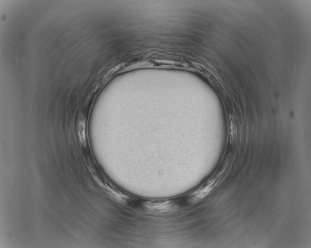 X0000068260285200605191810