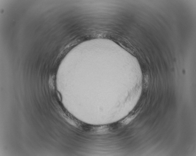 X0000068260286200605191810