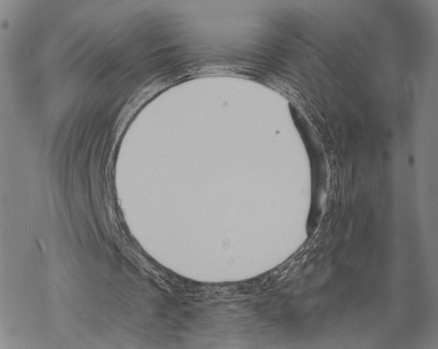 X0000068260289200605191810