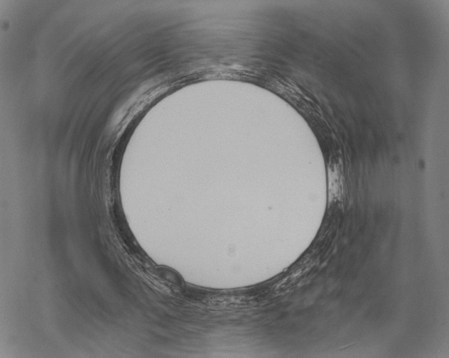 X0000068260291200605191810