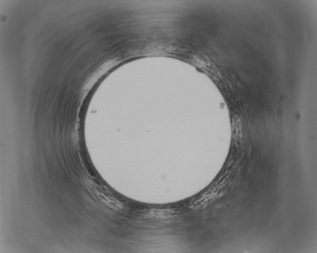 X0000068260292200605191810