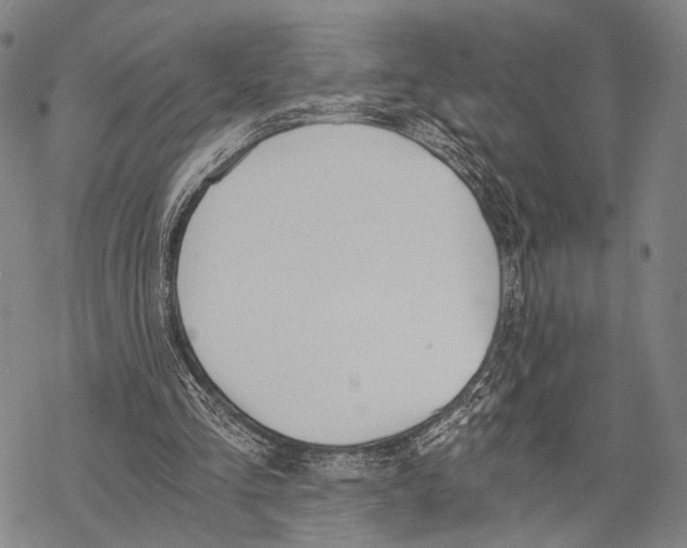 X0000068260293200605191810