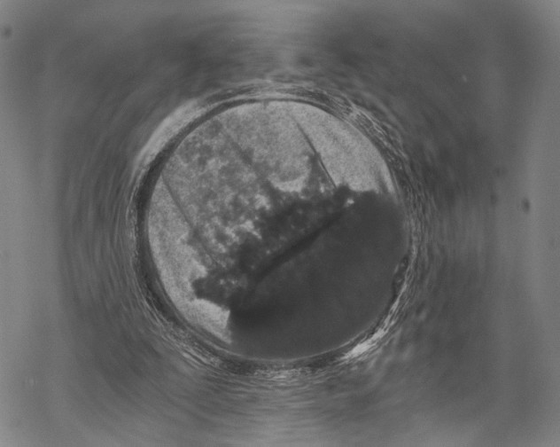 X0000068260295200605191810