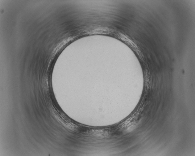 X0000068260298200605191810