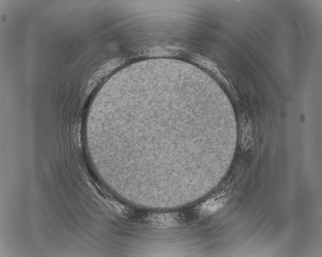 X0000068260299200605191810