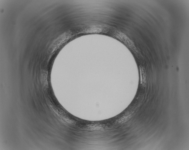 X0000068260300200605191810