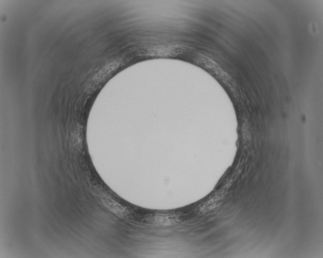 X0000068260305200605191809