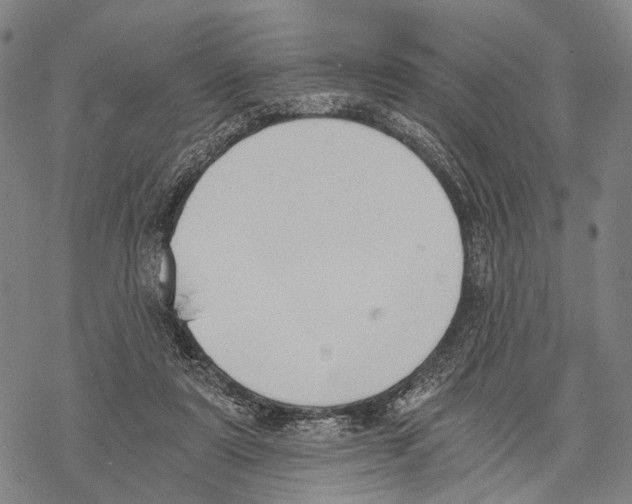 X0000068260307200605191809