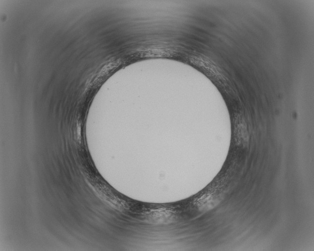 X0000068260310200605191809