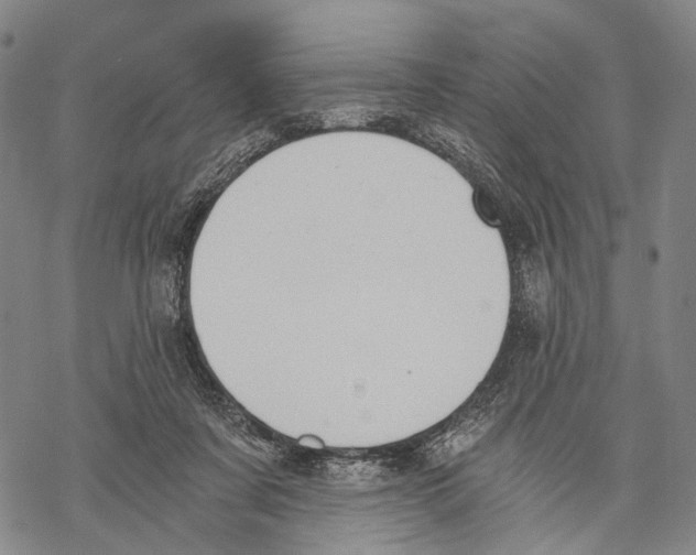 X0000068260311200605191809