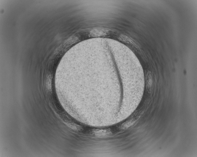 X0000068260315200605191809