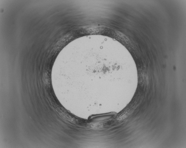 X0000068260317200605191809