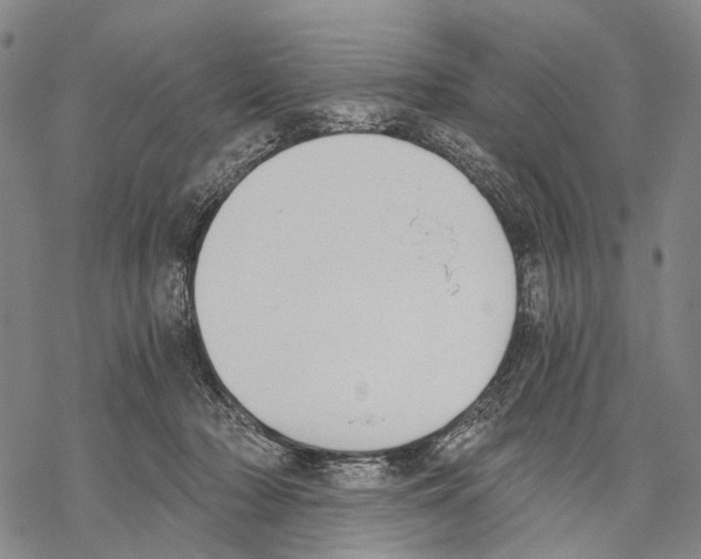 X0000068260318200605191809