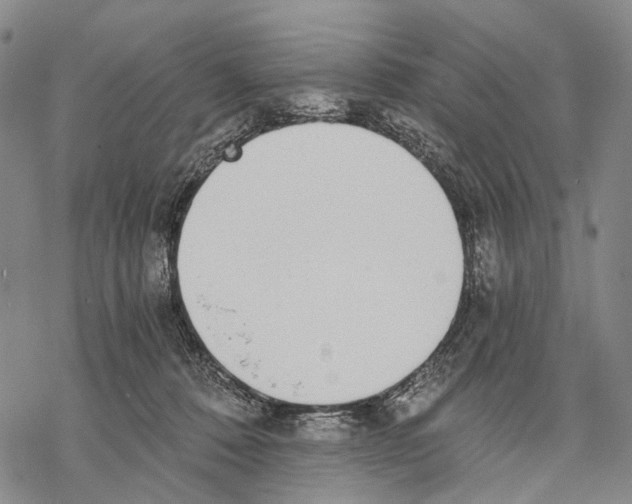 X0000068260320200605191809