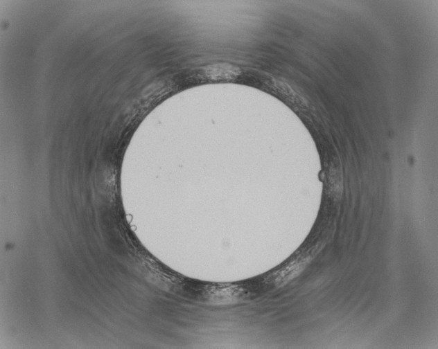 X0000068260321200605191809