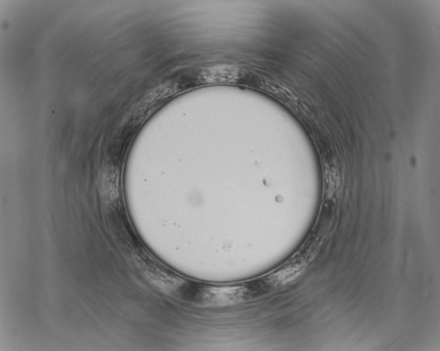 X0000068260323200605191809