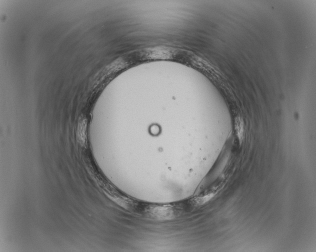 X0000068260325200605191809