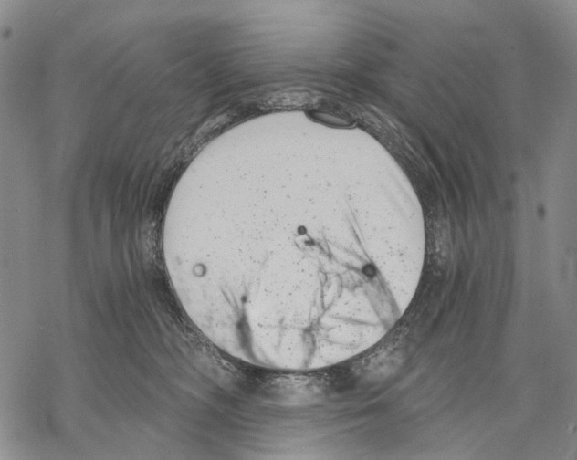 X0000068260326200605191809