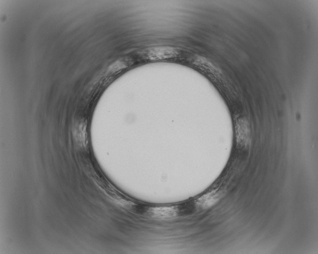 X0000068260327200605191809