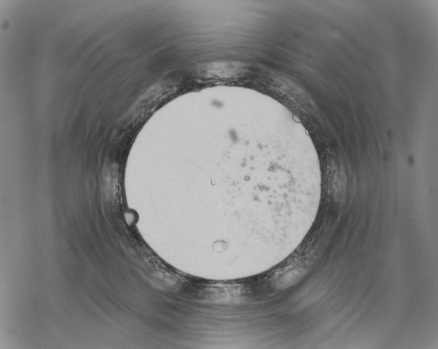 X0000068260328200605191809