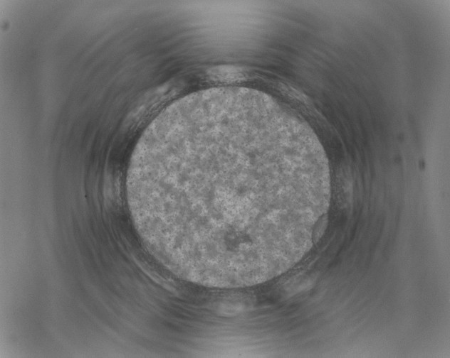 X0000068260330200605191809