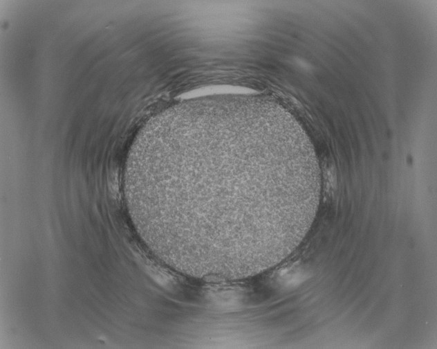 X0000068260331200605191809