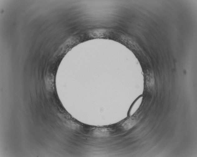 X0000068260332200605191809