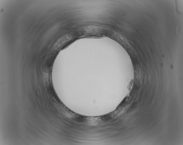 X0000068260333200605191809