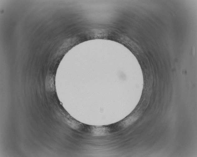 X0000068260336200605191809