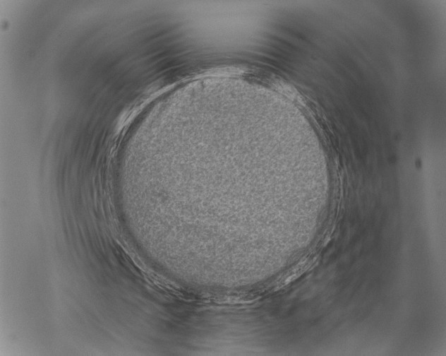 X0000068260337200605191808