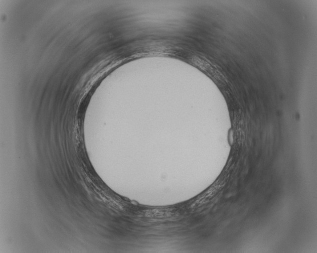 X0000068260338200605191808