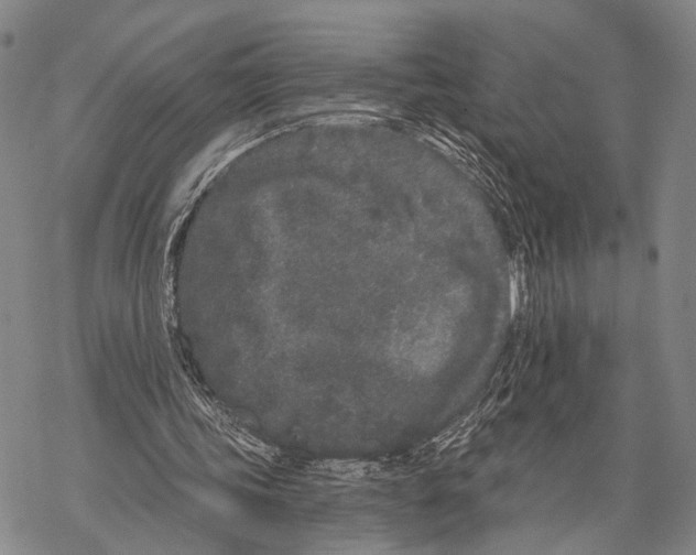 X0000068260339200605191808