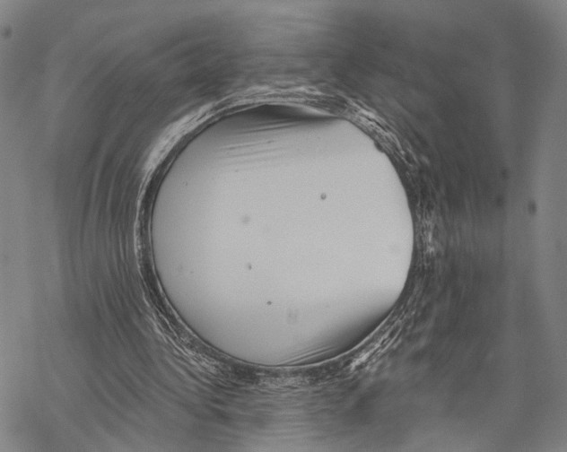 X0000068260340200605191808