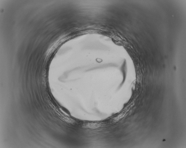 X0000068260341200605191808