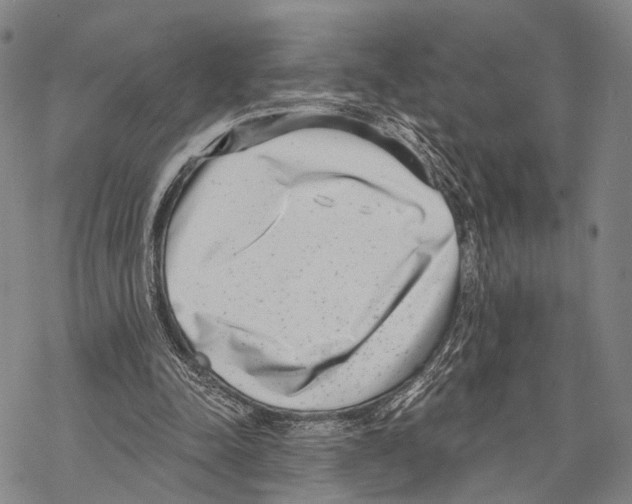 X0000068260342200605191808