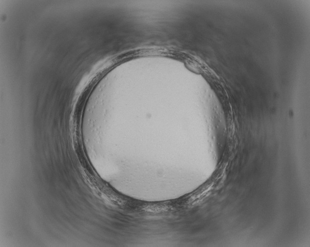 X0000068260343200605191808