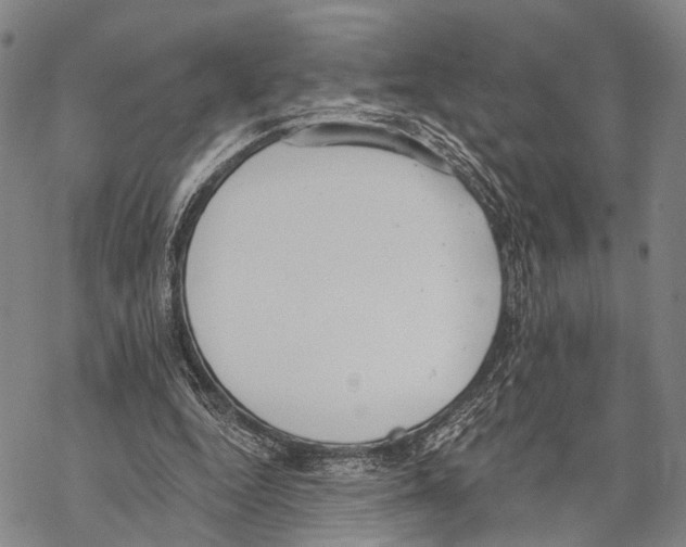 X0000068260344200605191808