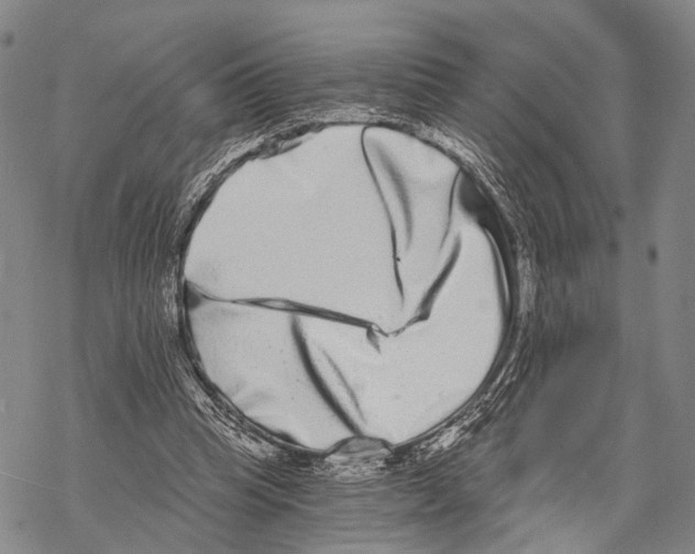 X0000068260345200605191808