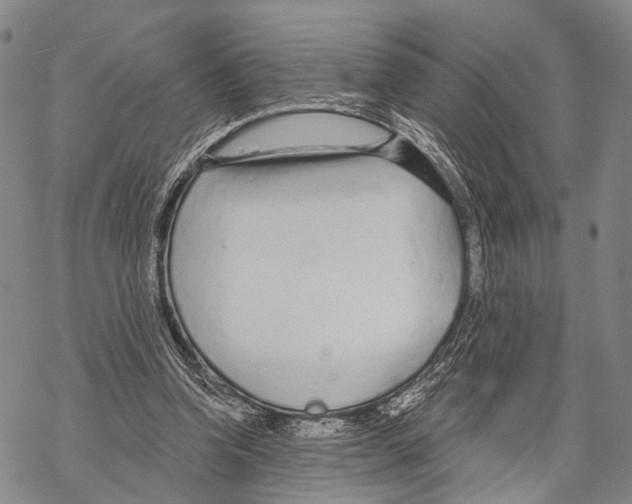 X0000068260346200605191808