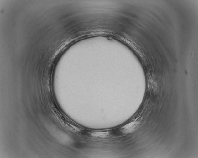 X0000068260347200605191808