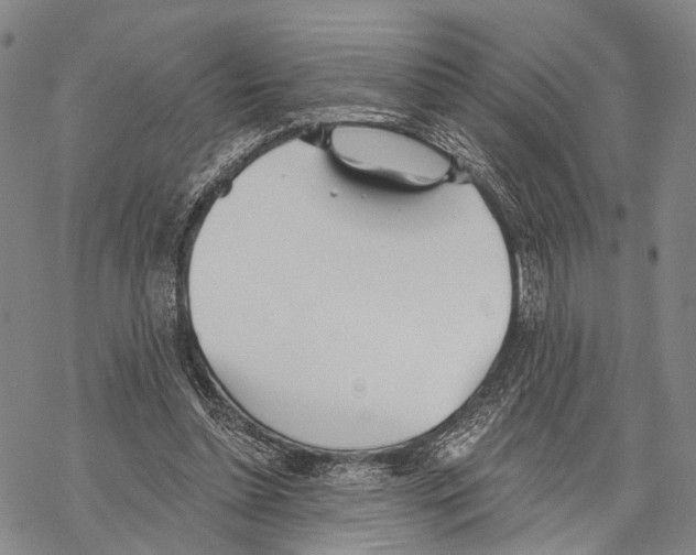 X0000068260348200605191808