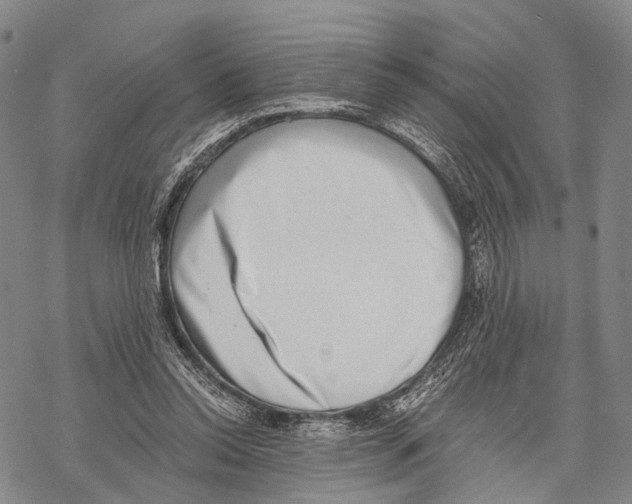 X0000068260350200605191808