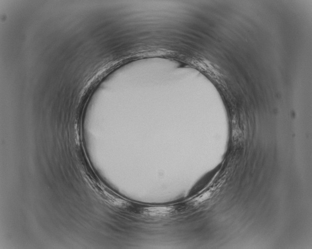 X0000068260351200605191808