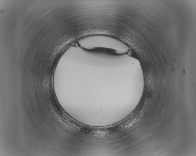 X0000068260352200605191808