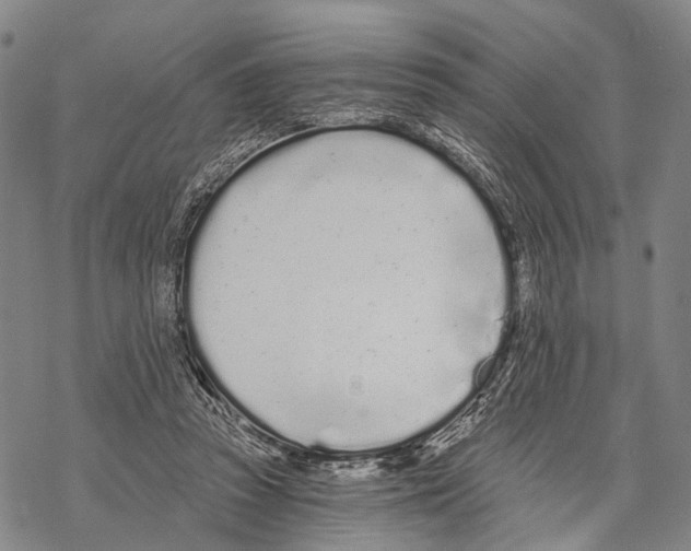 X0000068260353200605191808