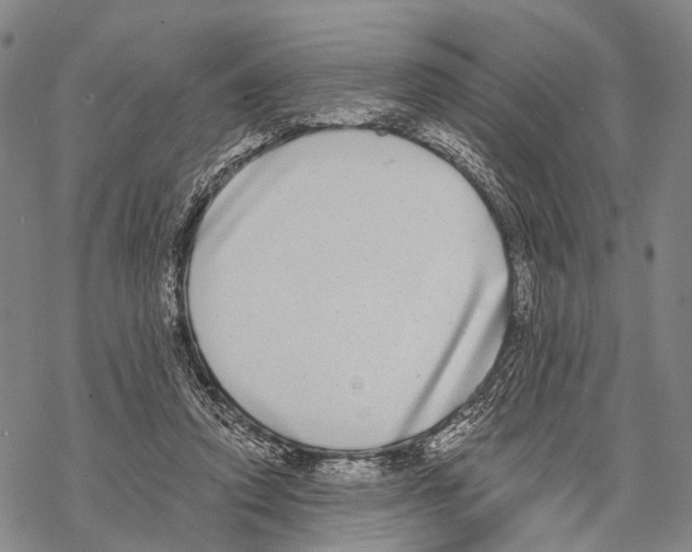 X0000068260354200605191808