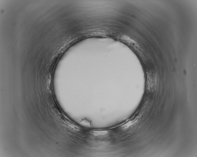 X0000068260355200605191808