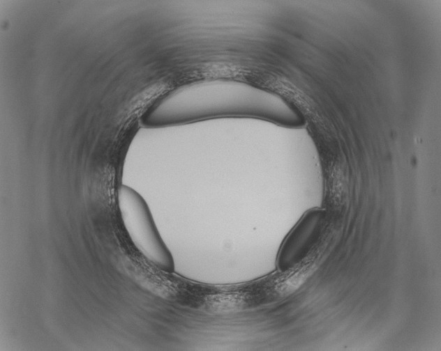 X0000068260356200605191808