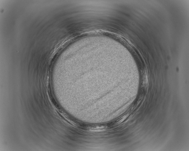 X0000068260357200605191809